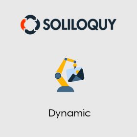Soliloquy Dynamic Addon 2.3.4