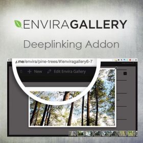Envira Gallery – Deeplinking Addon 1.4.9
