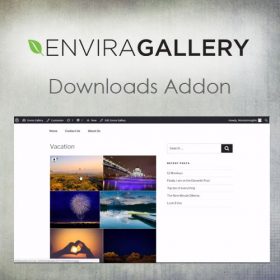 Envira Gallery – Downloads Addon 1.5.4.2