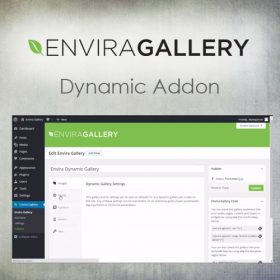 Envira Gallery – Dynamic Addon 1.6.1