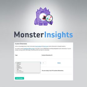 MonsterInsights – Dimensions Addon 2.2.6