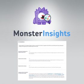 MonsterInsights – EU Compliance Addon 2.3.1