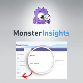 MonsterInsights – Forms Tracking Addon 2.3.1