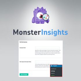 MonsterInsights – Performance Addon 1.8.0