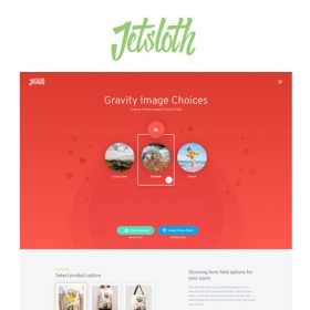 Jetsloth – Gravity Forms Image Choices 1.4.22