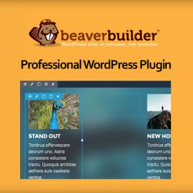 Beaver Builder Pro 2.6.0.3