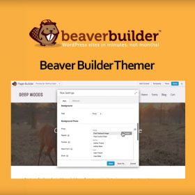 Beaver Themer for Beaver Builder 1.4.4