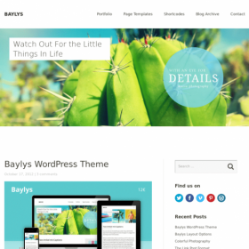 ElmaStudio Baylys WordPress Theme 1.1.6