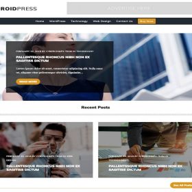 CyberChimps – DroidPress Premium	WordPress Theme 1.0.3