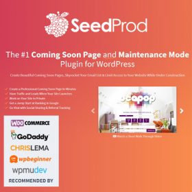 SeedProd Login Page Pro 1.1.13